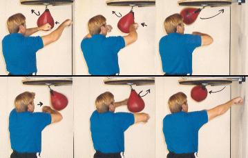Introduction – Speed Bag Central